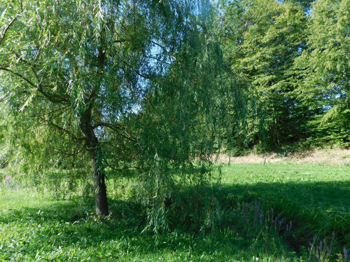 Du coq à l'âme Naves (Correze) Exterior foto